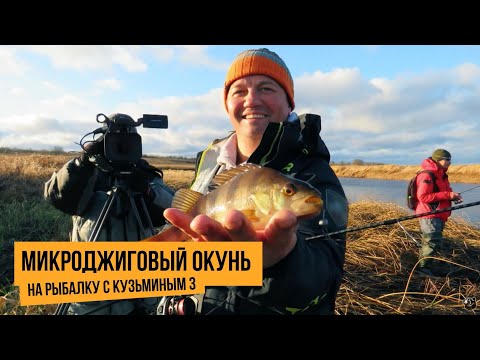 Видео: Микроджиговый окунь / На рыбалку с Кузьминым 3 // №2
