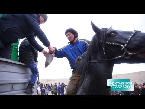 Видео: Аксы. Кош-добо. Чон улак. Махмут ажы эки машина  40 сорун