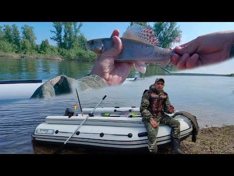 Видео: Рыбалка на хариуса за городом.Енисей.