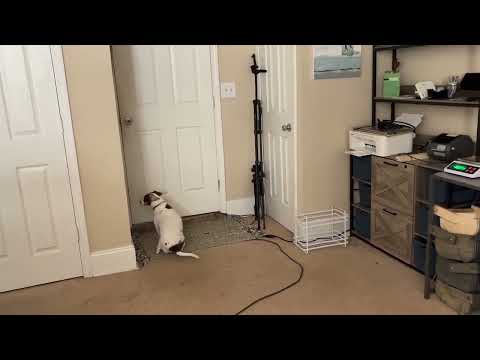 Видео: Сумасшедший график и грязная швейная комната.