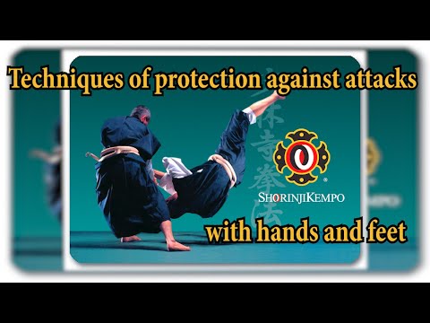 Видео: Приемы защиты Сёриндзи Кэмпо от атак руками и ногами (Гохо). Сэнсэй Араи.