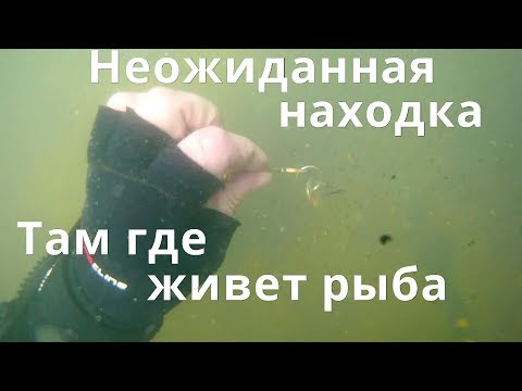 Видео: "Утопленница" или нет?.Пляжный коп с металлоискателем и аквалангом