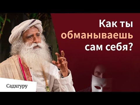Видео: Лучший способ обманывать себя всю оставшуюся жизнь
