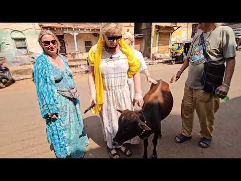 Видео: Тут Шива вышел из уха Коровы. Гокарна. Идём на озеро Коти Тиртха.