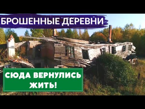 Видео: Заброшенные деревни под Питером. Русская Америка и урочище под водой | Другой Петербург. Архив