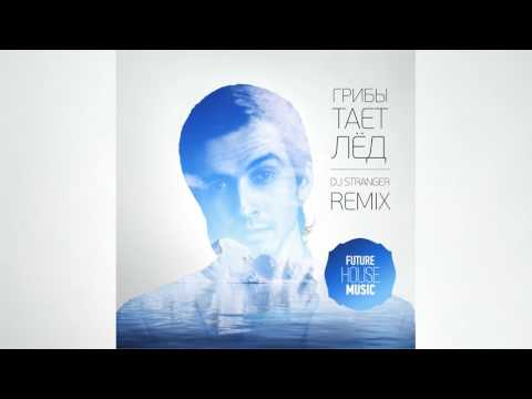 Видео: Грибы - Тает Лёд (DJ Stranger Remix) [Future House]