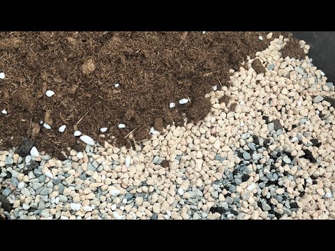 Видео: Опять про кактусный грунт
