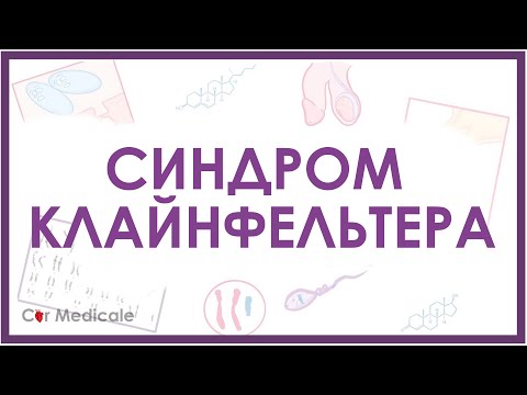 Видео: Синдром Клайнфельтера - механизм развития, причины, клинические проявления