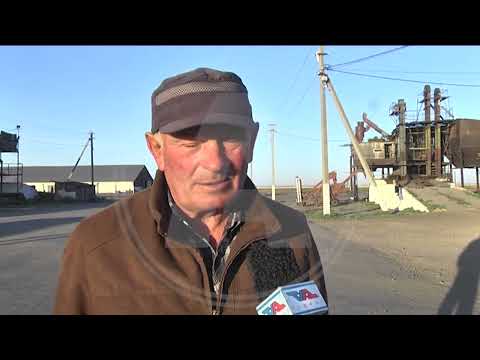 Видео: В товариществе «Адлет» района Беимбета Майлина полным ходом идёт уборочная кампания