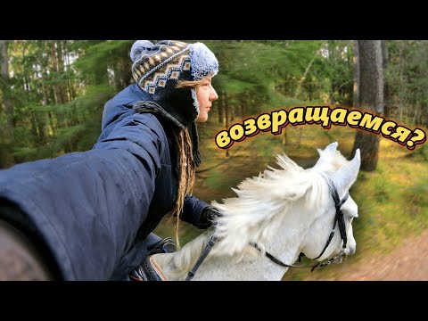 Видео: Верхом по лесу! | Почему вернулись на прежнюю конюшню?