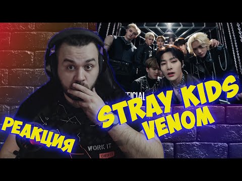 Видео: Реакция на Stray Kids "거미줄(VENOM)" Video