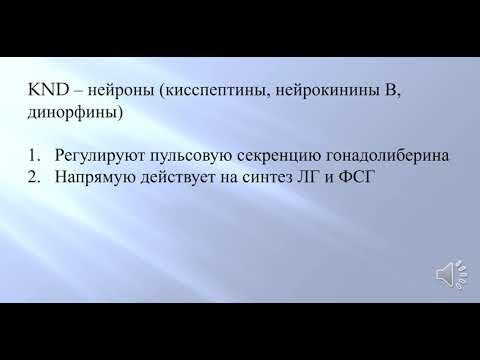 Видео: Регуляция менструального цикла. Нарушение менструального цикла.  Часть 1