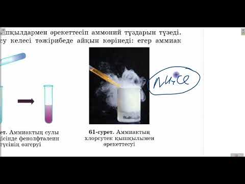 Видео: 27 сабақ. 5 ТОП_ Азот+ Фосфор (ТЕОРИЯ)