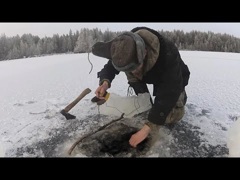 Видео: Коряга или рыбина?? Первый лёд, рыбалка