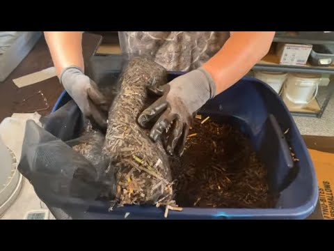 Видео: ОБНОВЛЕНИЕ ЧАСТЬ 2 — Самодельный настольный контейнер для предварительного компостирования