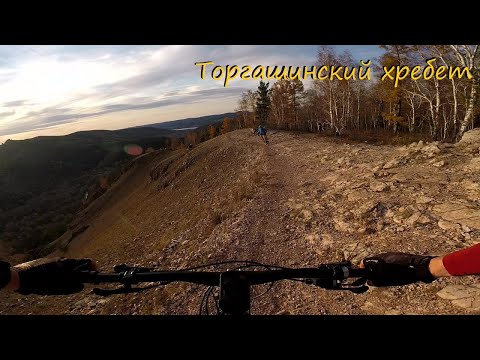 Видео: 09.10.2022 - ещё немного Торгашинского хребта на велосипеде