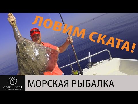 Видео: Рыбалка на Черном море. Ловля скатов морской лисы, дорадо, скорпены, морского окуня, скорпиона