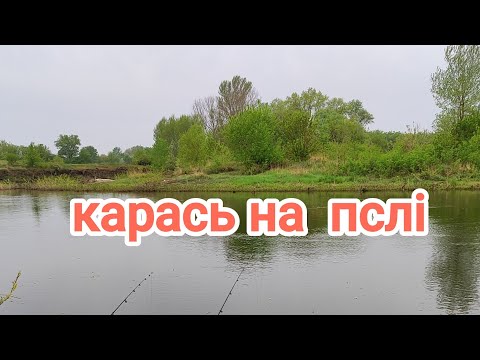 Видео: #карась# лящ #рибалка на пслі