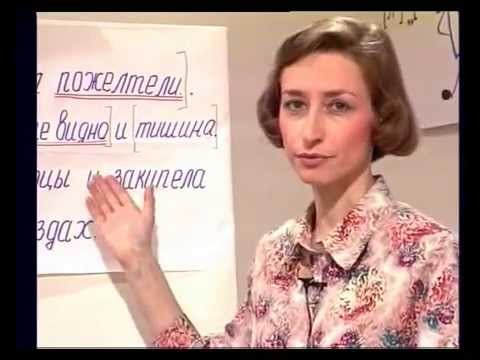 Видео: Знаки препинания в сложных предложениях. Синтаксис и пунктуация. Часть 1. Урок 4.