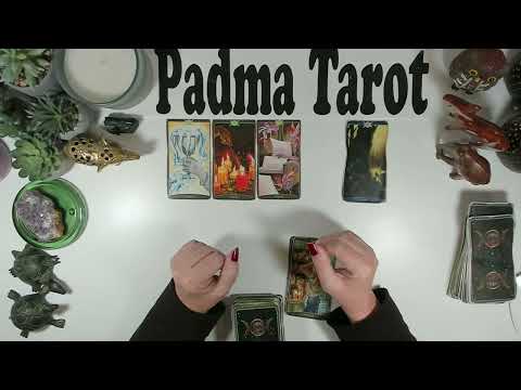 Видео: ВЫ ПОЧУВСТВУЕТЕ СЕБЯ ЛЮБИМЫМИ И ЗАЩИЩЕННЫМИ! СЛЕДУЮЩИЕ 72 ЧАСА ⚠️ОЧЕНЬ ВАЖНОЕ СООБЩЕНИЕ! Бонусное...