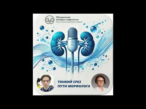 Видео: Тонкий срез пути морфолога