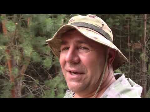 Видео: Отстрел через хрон С 7 папка и пластик на звезде