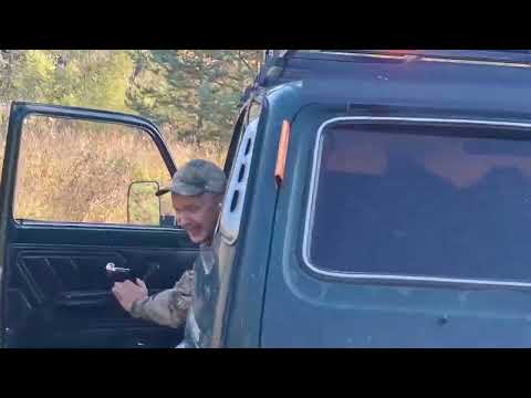 Видео: Разведка новых мест. Часть вторая (грибная).