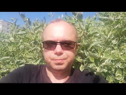 Видео: Пережил клиническую смерть. Выход из тела. Переживание смерти. Около смертный опыт Прочтите описание