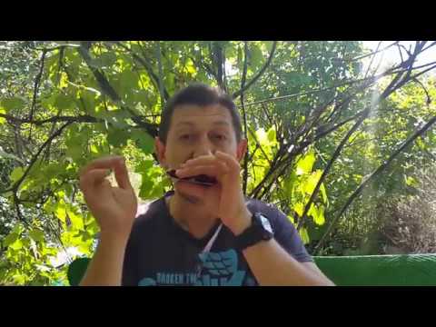 Видео: Growling  «рычание» на губной гармошке. Урок № 54