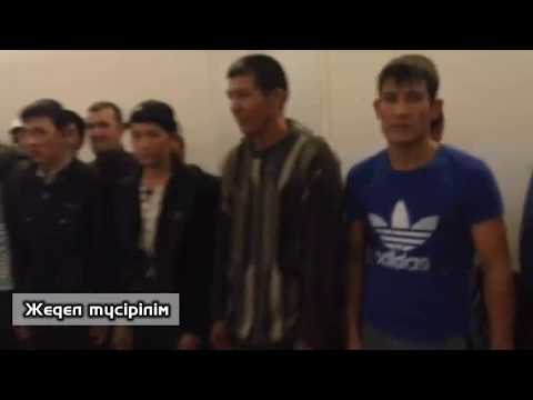 Видео: Дабыл, Дабыл! - 41 хабар