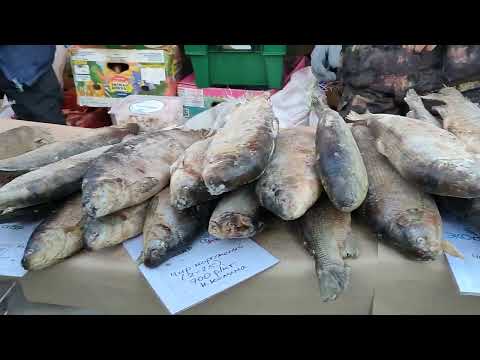 Видео: Цены на Рыбу. Рыбная Ярмарка в Якутске. Площадь Ленина ремонтируют.