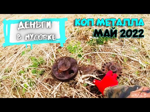 Видео: Копаю и сдаю металл по 20 РУБЛЕЙ за кг!!!  Деньги в Мусорке.