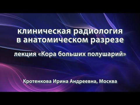 Видео: Кротенкова И.А. – Кора больших полушарий
