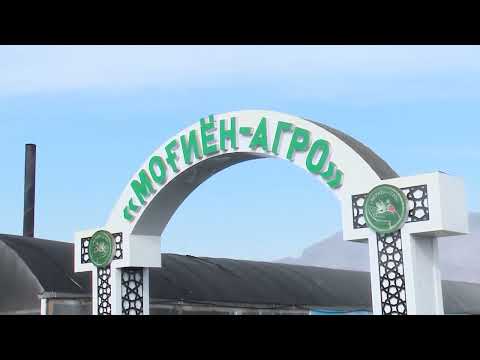 Видео: МАРДОНИ СОЗАНДА