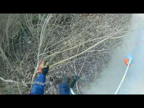 Видео: ZimAni FS450K тест