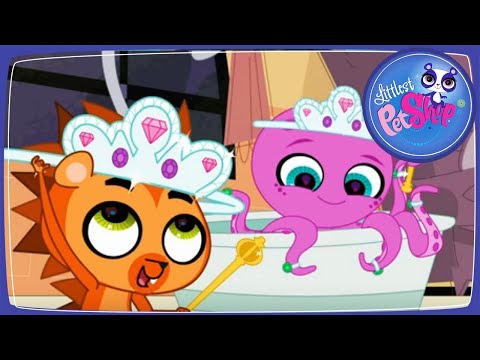 Видео: Мультик Маленький Зоомагазин. 8 рук, чтобы схватить тебя