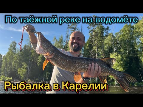 Видео: Рыбалка в Карелии / На водомёте по Сухой Водле Yamaha 115 !!!