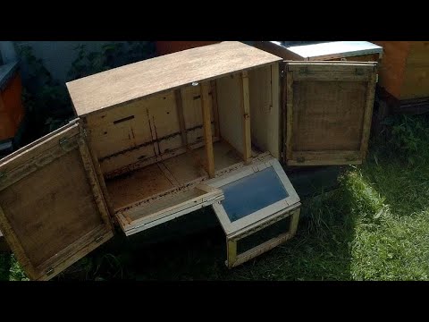 Видео: 1. Мои странные ульи. Улей "ПАВИЛЬОННЫЙ".