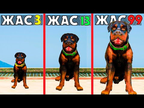 Видео: 99 ЖАСТАҒЫ ЧОП (GTA V)