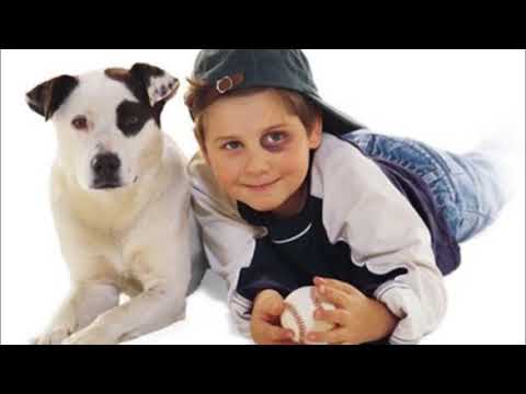 Видео: Обзор на Жижу DAWG