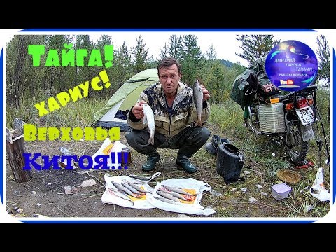 Видео: Рыбалка на хариуса! Две ночи в тайге! Верховья Китоя!!!