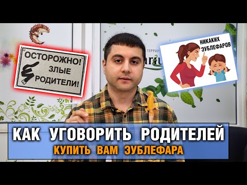 Видео: Как уговорить родителей купить или завести Эублефара, Агаму, Змею, Хамелеона, Полоза