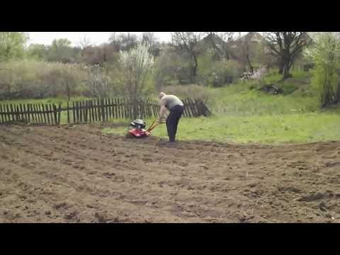 Видео: Культиватор MTD