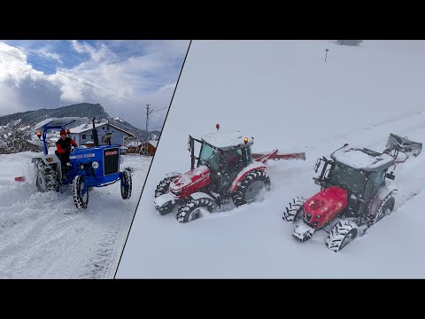 Видео: Massey Ferguson 5440 против Same Explorer 80 | Неожиданный финал!