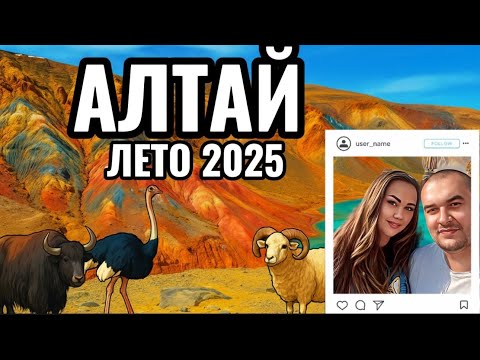 Видео: АЛТАЙ: 2025 лето. Самостоятельное авто-путешествие с детьми по самым красивым местам горного Алтая!