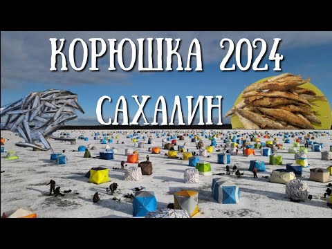 Видео: Сахалин - открытие зимней рыбалки на малоротую корюшку  #рыбалка #природа #сахалин #winter#зима