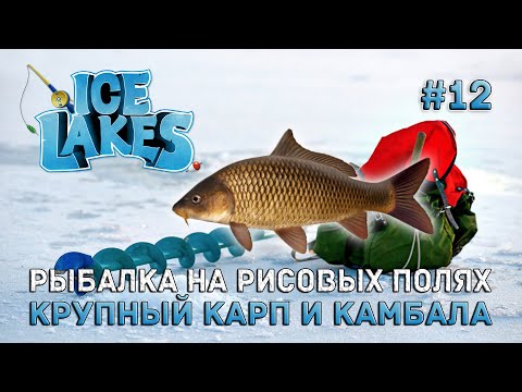 Видео: Рыбалка на Рисовых Полях. Крупный карп и камбала - Ice Lakes #12