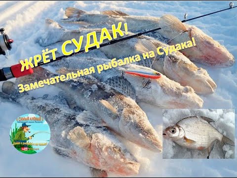 Видео: ЖРЁТ СУДАК! Замечательная рыбалка на Судака!