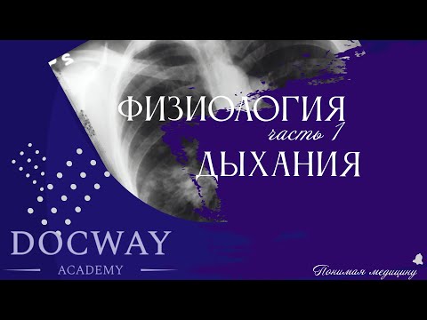Видео: Физиология дыхания  (часть 1)