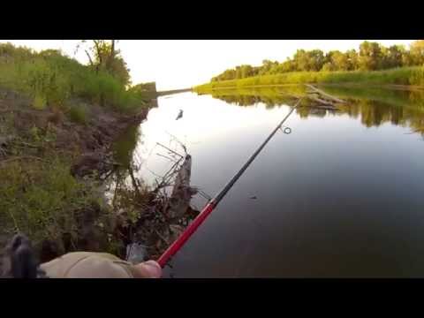 Видео: INDIVID в коряжнике